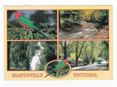 Shows four colour photographs of natural attractions in and around Marysville in Victoria. There is a photograph of a King Parrot, the Steavenson River, Steavenson Falls and Murchison Street in Marysville. The postcard appears to have been removed from a booklet of postcards. On the reverse of the postcard is a space to write a message and address and a place to put a postage stamp. The postcard is unused.