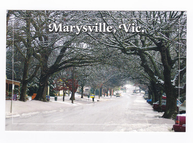 Shows a snow covered Murchison Street in Marysville in Victoria. The photograph shows the famous oak trees which line Murchison Street dusted with snow. On the reverse of the postcard is a space to write a message and address and to place a postage stamp. The postcard is unused.