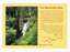 Shows Steavenson Falls in Marysville in Victoria. On the front of the postcard is a short story of Marysville as well as a map of Victoria with the location of Marysville depicted with a red dot. On the reverse of the postcard is a space to write a message and an address and to place a postage stamp. The postcard is unused.