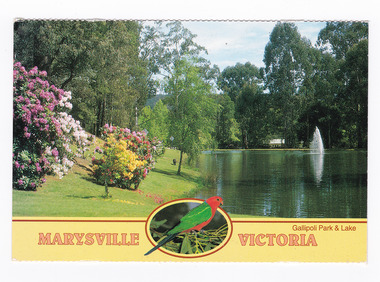 Shows Gallipoli Park and Darmody's Lake in Marysville in Victoria. The title of the postcard is along the lower edge of the postcard and in middle of the title is a small photograph of a King Parrot sitting on some gum leaves. On the reverse of the postcard is a space to write a message and an address and to place a postage stamp. The postcard is unused.