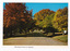 Shows autumn trees along Murchison Street in Marysville in Victoria. Shows a sealed road which is heavily tree lined. The title of the postcard is shown along the lower edge. On the reverse of the postcard is a space to write a message and an address and a space to place a postage stamp. The postcard is unused.