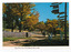 Shows the sign post that stood opposite Pack Road in Marysville in Victoria. Shows the signpost in the foreground. Opposite the signpost is a wooden picket fence. There are two people walking past the signpost. The title of the postcard is shown along the lower edge of the postcard. On the reverse of the postcard is a space to write a message and an address and to place a postage stamp. The postcard is unused.