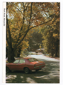 Shows Murchison Street  in Marysville in Victoria. Shows the street leading to a roundabout. Both sides of the road are heavily treed. Shows an orange car in the foreground. In the background a house can be seen. On the reverse of the postcard is a space to write a message and an address and to place a postage stamp. The postcard is unused.