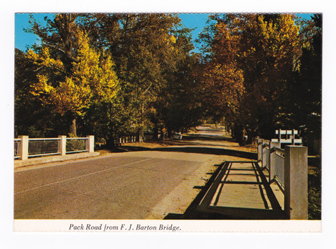 Shows the F.J. Barton Bridge looking up Murchison Street. Shows the heavily treelined street leading through the town. On the reverse of the postcard is a space to write a message and an address and to place a postage stamp. The postcard is unused.