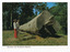 Shows a felled Mountain Ash tree that was on display in Marysville in Victoria. Next to the large tree are two people looking at the tree. On the reverse of the postcard is a space to write a message and an address and to place a postage stamp. The postcard is unused.