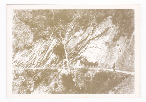 Shows a coach and horses at Flourbag Cutting near Walhalla in Victoria. Shows the coach and  horses travelling along a narrow track which has been carved into the mountain side. On the reverse of the postcard is a space to write a message and an address and to place a postage stamp. The postcard is unused.