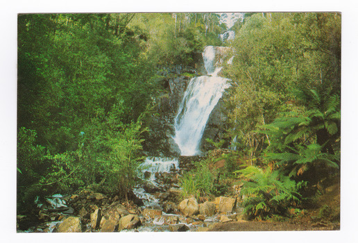 Shows Steavenson Falls in Marysville in Victoria. Shows the falls cascading down the mountain surrounded by forest. On the reverse of the postcard is a space to write a message and an address and to place a postage stamp. The postcard is unused.