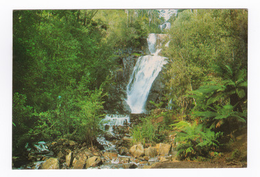A colour photograph of Steavenson Falls in Marysville, Victoria. On the reverse of the postcard is a space to write a message and an address and to place a postage stamp. The postcard is unused.