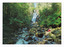 Shows Steavenson Falls in Marysville in Victoria. Shows the falls cascading down the mountain in to the river which is flowing over rocks. Sitting on the bank of the river is a lady looking at the falls. On the reverse of the postcard is a space to write a message and an address and to place a postage stamp. The postcard is unused.