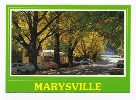 Shows trees in Autumn lining Murchison Street in Marysville in Victoria. On the left of the street are shops lining the street with cars parked out the front. On the reverse of the postcard is a space to write a message and an address and to place a postage stamp. The postcard is unused.
