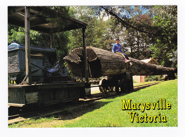 Shows a log train that was used at a sawmill in Marysville in Victoria. Shows the train towing a timber tolley with a large log on it. Sitting on top of the log is a young boy. On the reverse of the postcard is a space to write a message and an address and to place a postage stamp. The postcard is unused.