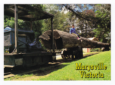  Shows a log train that was used at a sawmill in Marysville in Victoria. Shows the train towing a timber tolley with a large log on it. Sitting on top of the log is a young boy. On the reverse of the postcard is a space to write a message and an address and to place a postage stamp. The postcard is unused.
