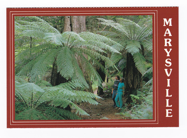 A colour photograph of a couple walking on the track through the "Beeches". On the reverse of the postcard is a space to write a message and an address and to place a postage stamp. The postcard is unused.