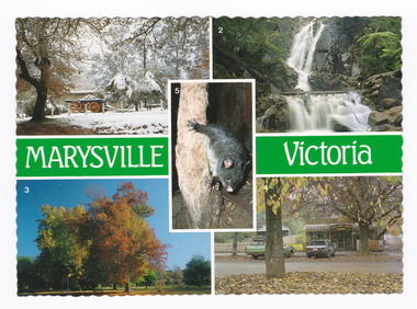 A postcard with 5 colour photographs of local attractions in and around Marysville. On the reverse of the postcard is a space to write a message and an address and to place a postage stamp. The postcard is unused.