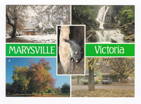 A postcard with 5 colour photographs of local attractions in and around Marysville in Victoria. On the reverse of the postcard is a hand-written message. There is also a 41c Australian stamp with an illustration of people riding bicycles.
