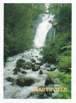 Shows Steavenson Falls in Marysville in Victoria. Shows the falls cascading down the mountain into the river. The river is flowing over rocks and is surrounded by a forest of trees and tree ferns. On the reverse of the postcard is a space to write a message and an address and to place a postage stamp. The postcard is unused.
