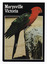 Shows a King Parrot perched on a stone wall. On the reverse of the postcard is a space to write a message and an address and to place a postage stamp. The postcard is unused.