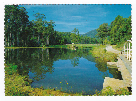  Shows Darmody Lake in Gallipoli Park in Marysville in Victoria. Shows a wooden bridge and track at the left of the photograph. The lake is bordered by trees. In the background are some buildings. On the reverse of the postcard is a space to write a message and an address and to place a postage stamp. The postcard is unused.
