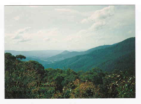 Shows the view of the heavily forested mountains surrounding Marysville in Victoria from Nicholl's Lookout. On the reverse of the postcard is a space to write a message and an address and to place a postage stamp. The postcard is unused.