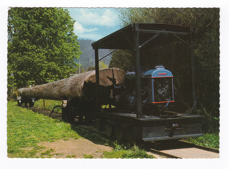Shows an old log train that is displayed in a park in Marysville in Victoria. Shows a small blue train towing a timber trolley on which is a large log. On the reverse of the postcard is a space to write a message and an address and to place a postage stamp. The postcard is unused.