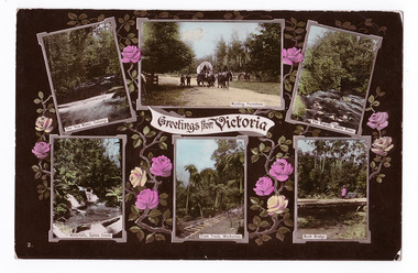 Shows six colour photographs of attractions in an around Marysville in Victoria. The postcard has a black background on which the photographs sit. Surrounding the photographs are yellow and pink roses with green foliage. The words 'Greetings from Victoria' are in a decorative script across a white banner. On the reverse of the postcard is a handwritten message.