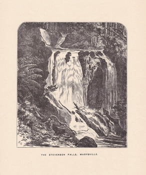 Shows an etching of Steavenson Falls in Marysville in Victoria. Shows the falls cascading down the mountain and over rocks at the base. The falls are surrounded by a forest of trees and tree ferns. The page has been removed from a book.