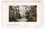 Shows the Steavenson River in Marysville in Victoria. In the background of the photograph are a woman, child and dog all standing on the bank of the river surrounded by forest. On the reverse of the postcard is a space to write a message and an address and to place a postage stamp. The postcard is unused.