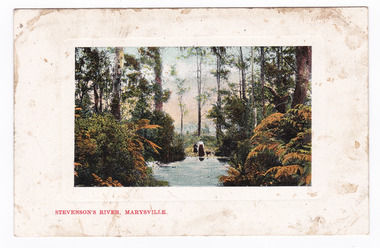 Shows the Steavenson River in Marysville in Victoria. In the background of the photograph are a woman, child and dog all standing on the bank of the river surrounded by forest. On the reverse of the postcard is a space to write a message and an address and to place a postage stamp. The postcard is unused.