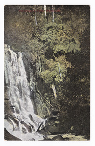 Shows Steavenson Falls in Marysville in Victoria. Shows the falls cascading down the mountain surrounded by a forest of trees and tree ferns. On the reverse of the postcard is a space to write a message and to place a postage stamp. The postcard is unused.
