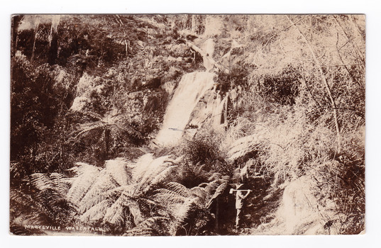 Shows Steavenson Falls in Marysville in Victoria. Photograph also shows a man standing in the lower left corner of the photograph holding an axe on his shoulder. On the reverse of the postcard is a handwritten message. There is also an orange postage stamp with a date stamp in black ink. There is also a stamp from the Bill Hopkins Collection, Notting Hill Gate, London. The words 'This space may be used for Correspondence within the Commonwealth at 1d rate. Foreign, charged ordinary letter rate.' have been crossed out.