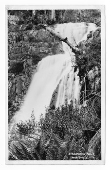 Shows Steavenson Falls in Marysville in Victoria. Shows the falls cascading down the mountain surrounded by a forest of trees and tree ferns. The title of the postcard is handwritten in white ink in the lower right hand corner. On the reverse of the postcard is a space to write a message and and address and to place a postage stamp. The postcard is unused.