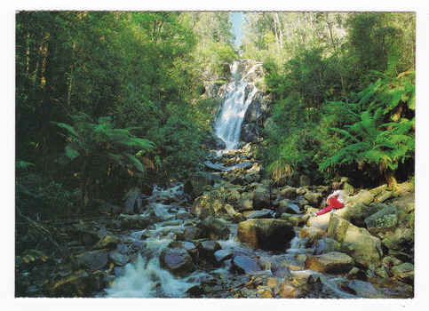 Shows Steavenson Falls in Marysville in Victoria. The photograph shows a lady sitting on rocks near the base of the falls. On the reverse of the postcard is a space to write a message and an address and to place a postage stamp. The postcard is unused.