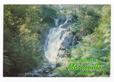 Shows Steavenson Falls in Marysville in Victoria. Shows the falls cascading down the mountain over rocks. The falls are surrounded by a forest of trees and tree ferns. On the reverse of the postcard is a space to write a message and an address and to place a postage stamp. The postcard is unused.