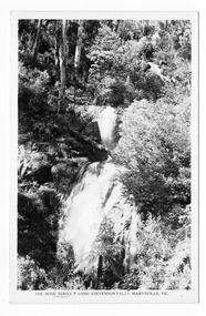 Shows Steavenson Falls in Marysville in Victoria. Shows the falls cascading down the mountain surrounded by a forest of trees and tree ferns. On the reverse of the postcard is a space to write a message and an address and to place a postage stamp. The postcard is unused.