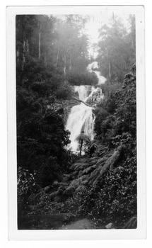Shows Steavenson Falls in Marysville in Victoria. Shows the falls cascading down the mountain surrounded by forest. On the reverse of the photograph the location of the photograph is handwritten in blue ink.