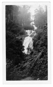 Shows Steavenson Falls in Marysville in Victoria. Shows the falls cascading down the mountain surrounded by forest. On the reverse of the photograph the location of the photograph is handwritten in blue ink.