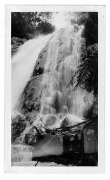 Shows Steavenson Falls in Marysville in Victoria. Shows the falls cascading down the mountain over rocks surrounded by forest. On the reverse of the photograph the location of the photograph and the date the photograph was taken is handwritten in blue ink.