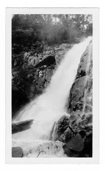 Shows Steavenson Falls in Marysville in Victoria. Shows the falls cascading down the mountain. The falls are surrounded by forest. On the reverse of the photograph the location of the photograph is handwritten in blue ink.