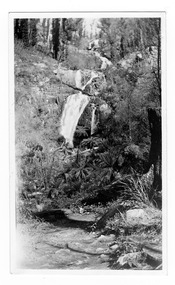 Shows Steavenson Falls in Marysville in Victoria. Shows the falls cascading down the mountain into the river. The falls are surrounded by forest. On the reverse of the photograph the location of the photograph is handwritten in blue ink.