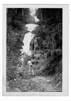 A black and white photograph of Steavenson Falls in Marysville in Victoria. Photograph shows a man standing on the track at the base of the falls. On the reverse of the photograph has been typed the location of the photograph and the date it was taken. There is also a number stamp.