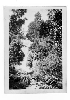 Shows Steavenson Falls in Marysville in Victoria. Shows the falls cascading down the mountain surrounded by forest. On the reverse of the photograph has been typed the location of the photograph and the date it was taken. There is also a number stamp.