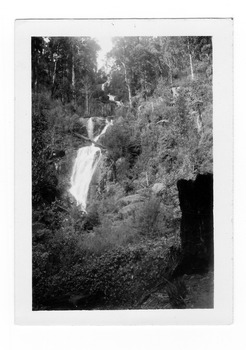Shows Steavenson Falls in Marysville in Victoria. Shows the falls cascading down the mountain surrounded by a forest of trees and tree ferns. On the back is written the photograph location and the date it was taken. There is also a number stamp.