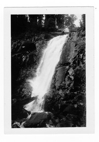 Shows Steavenson Falls in Marysville in Victoria. Shows the fall cascading down the mountain over rocks. The falls are surrounded by forest. On the reverse of the photograph is handwritten the location of the photograph and the date it was taken. There is also a number stamp on the reverse.