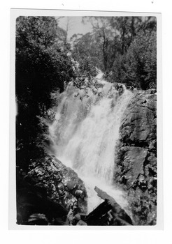 Shows Steavenson Falls in Marysville in Victoria. Shows the falls cascading down the mountain over rocks. The falls are surrounded by forest. On the reverse the location of the photograph and the date the photograph was taken is handwritten in lead pencil.
