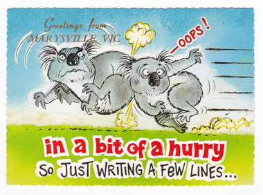 Shows an illustration of two koalas. One koala has run into the back of the first one at speed. On the reverse of the postcard is a space to write a message and an address and to place a postage stamp. The postcard is unused.