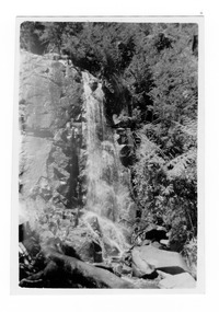 Shows Steavenson Falls in Marysville in Victorial. Shows the falls cascading down the mountain onto some rocks below. The falls are surrounded by forest. On the reverse the location of the photograph and the date the photograph was taken is handwritten in lead pencil.