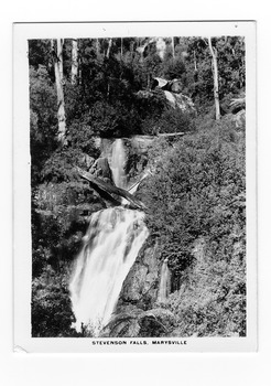Shows Steavenson Falls in Marysville in Victoria. Shows the falls cascading down the mountain surrounded by forest.