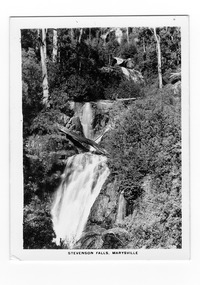 Shows Steavenson Falls in Marysville in Victoria. Shows the falls cascading down the mountain surrounded by forest.