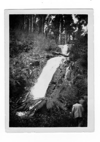 Shows Steavenson Falls in Marysville in Victoria. Shows the falls cascading down the mountain surrounded by forest. In the lower right hand corner of the image there are three men walking. On the reverse the location of the photograph and the date taken is handwritten in blue biro.
