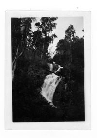 Shows Steavenson Falls in Marysville in Victoria. Shows the falls cascading down the mountain surrounded by forest. On the reverse the location of the photograph and the date taken is handwritten in blue biro.